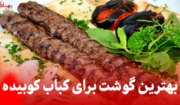 بهترین گوشت برای کباب کوبیده