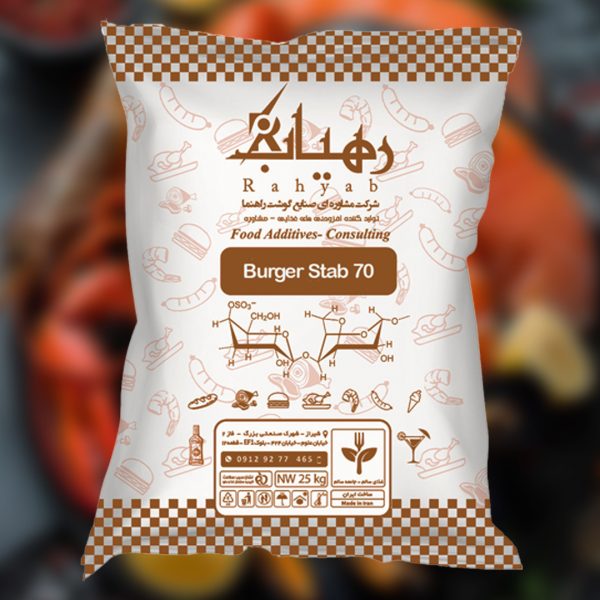 استابیلایزر برگر Burger Stab 70