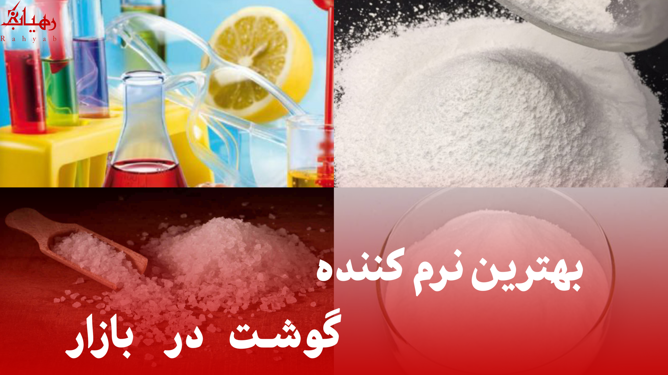 بهترین نرم کننده گوشت در بازار