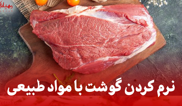 نرم کردن گوشت با مواد طبیعی